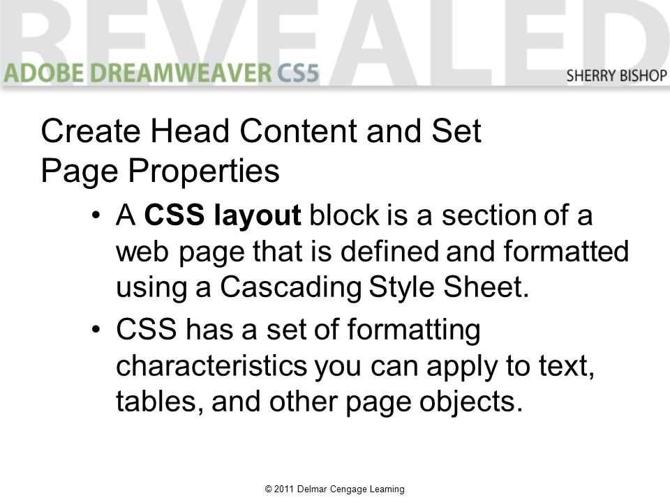 © 2011 Delmar Cengage Learning A CSS layout block is a section of a web page that is defined and formatted using a Cascading Style Sheet.