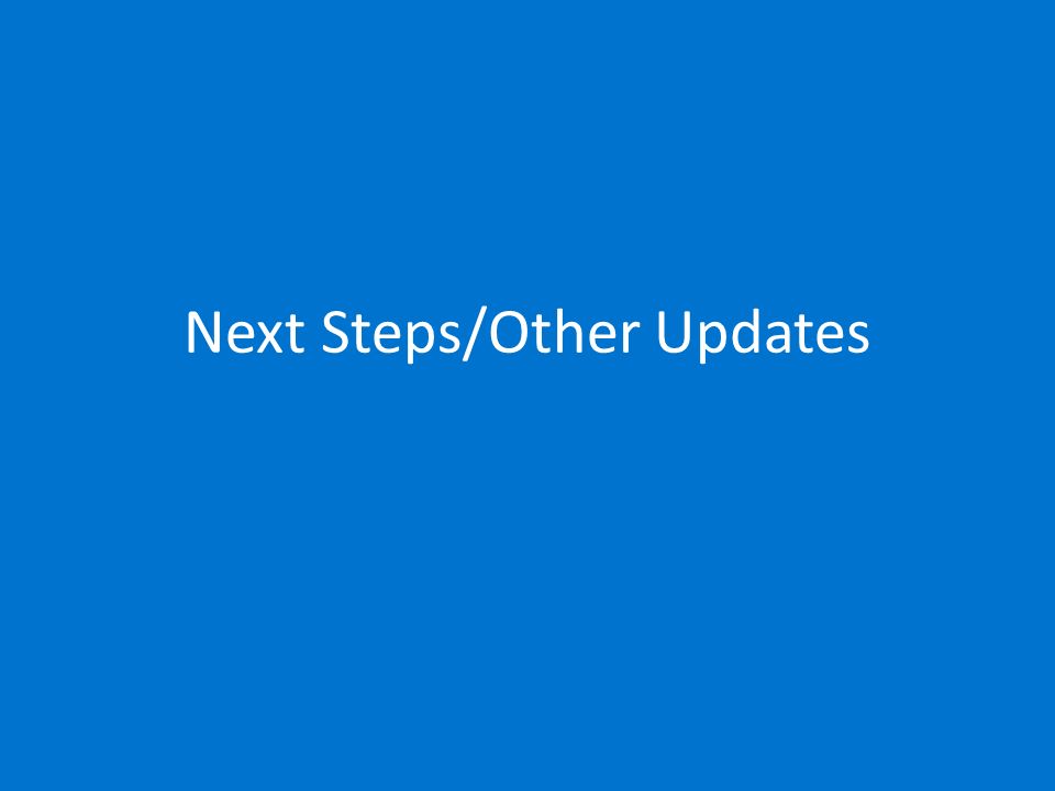 Next Steps/Other Updates