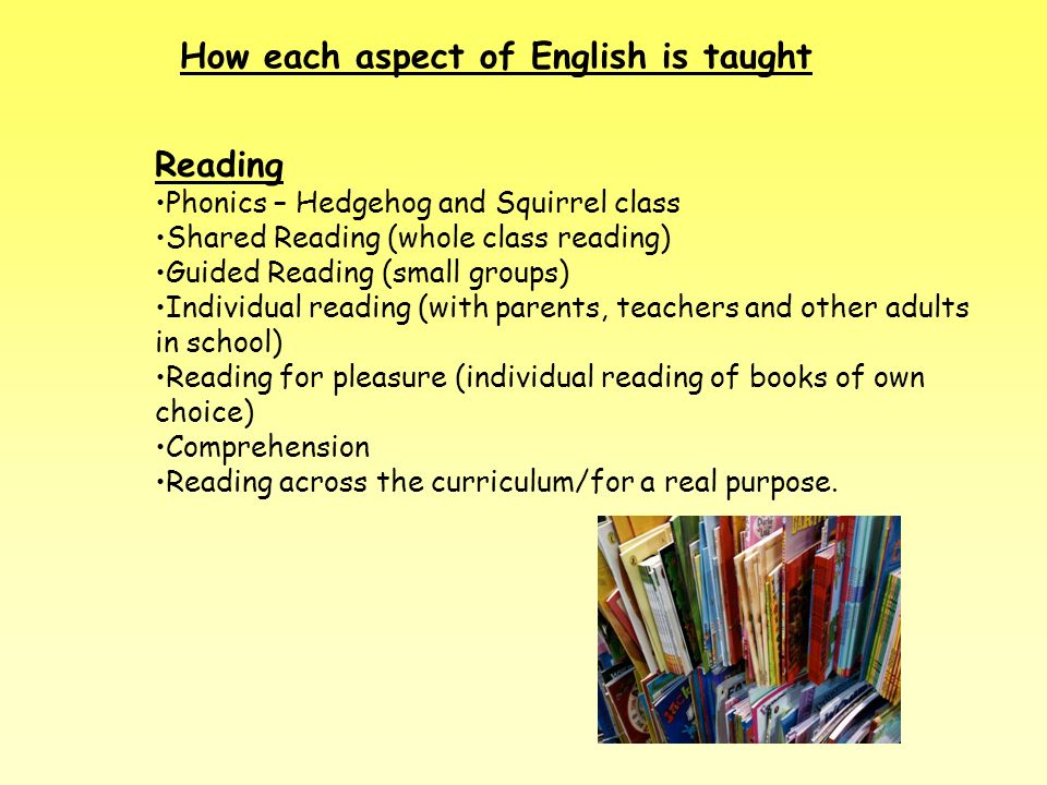 Reading Phonics – Hedgehog and Squirrel class Shared Reading (whole class reading) Guided Reading (small groups) Individual reading (with parents, teachers and other adults in school) Reading for pleasure (individual reading of books of own choice) Comprehension Reading across the curriculum/for a real purpose.