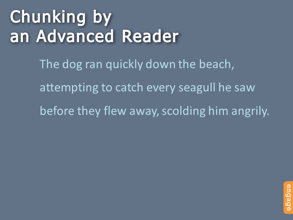 The dog ran quickly down the beach, attempting to catch every seagull he saw before they flew away, scolding him angrily.