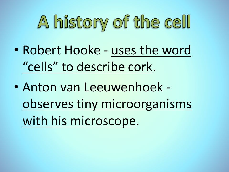 Robert Hooke - uses the word cells to describe cork.