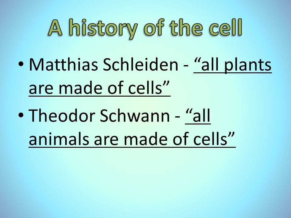 Matthias Schleiden - all plants are made of cells Theodor Schwann - all animals are made of cells