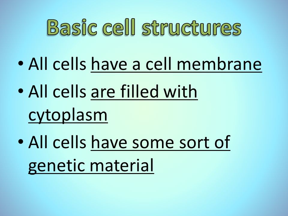 All cells have a cell membrane All cells are filled with cytoplasm All cells have some sort of genetic material
