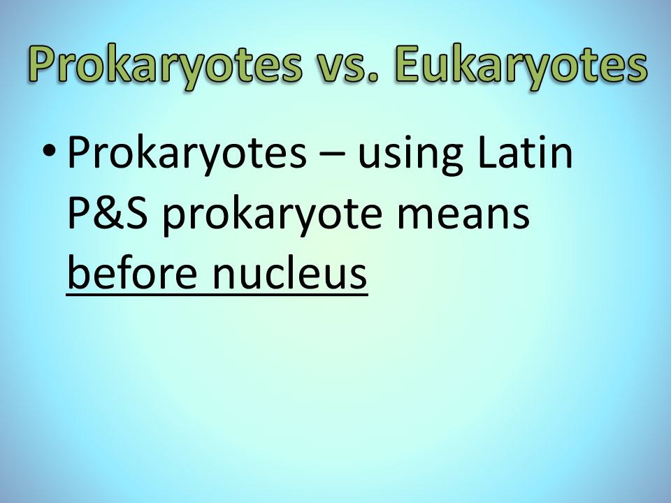 Prokaryotes – using Latin P&S prokaryote means before nucleus