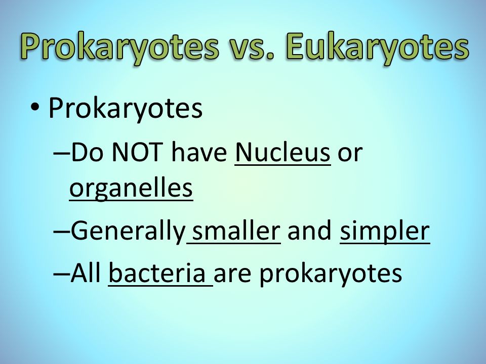 Prokaryotes – Do NOT have Nucleus or organelles – Generally smaller and simpler – All bacteria are prokaryotes