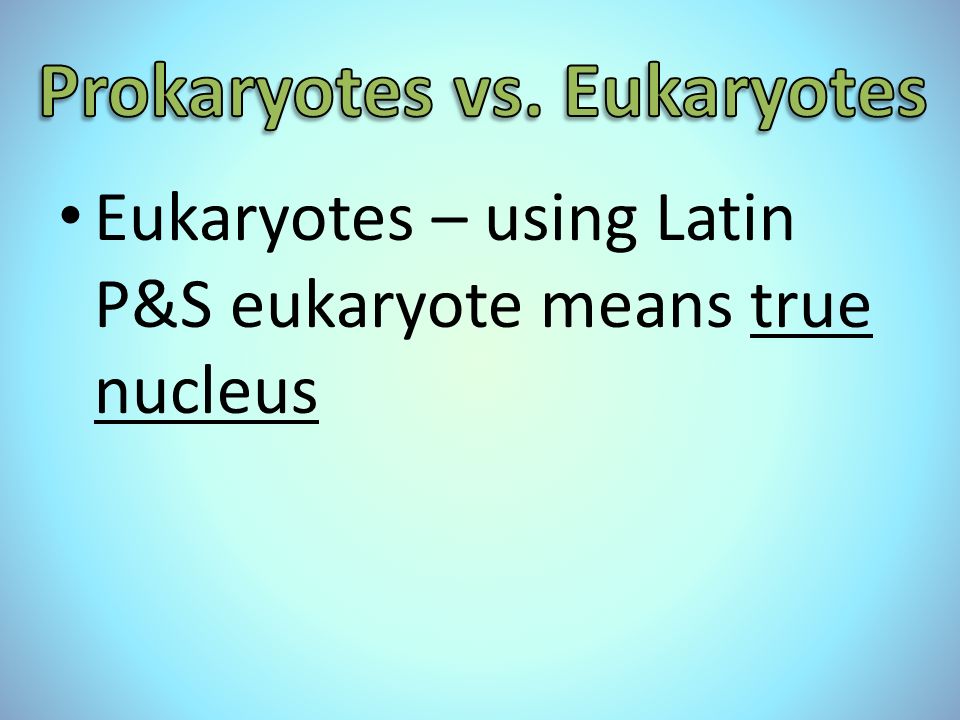 Eukaryotes – using Latin P&S eukaryote means true nucleus