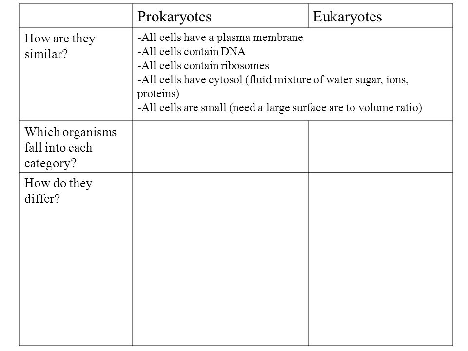 ProkaryotesEukaryotes How are they similar.
