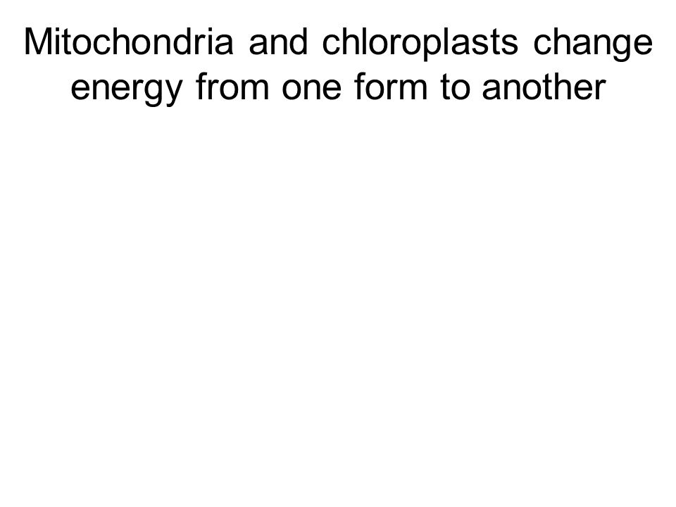 Mitochondria and chloroplasts change energy from one form to another