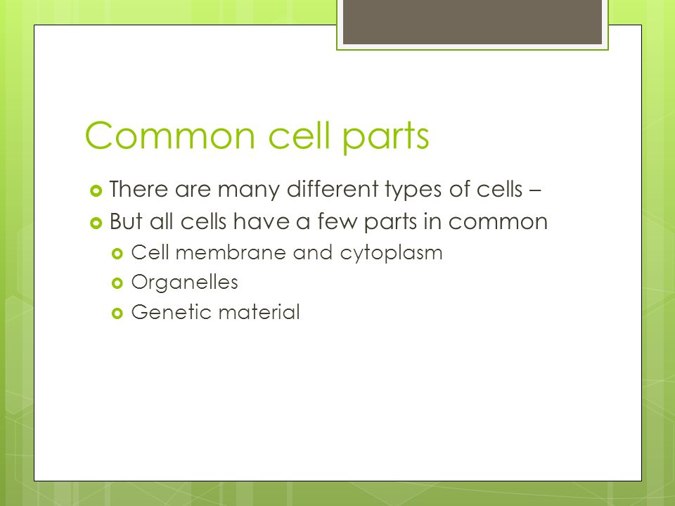 Common cell parts  There are many different types of cells –  But all cells have a few parts in common  Cell membrane and cytoplasm  Organelles  Genetic material