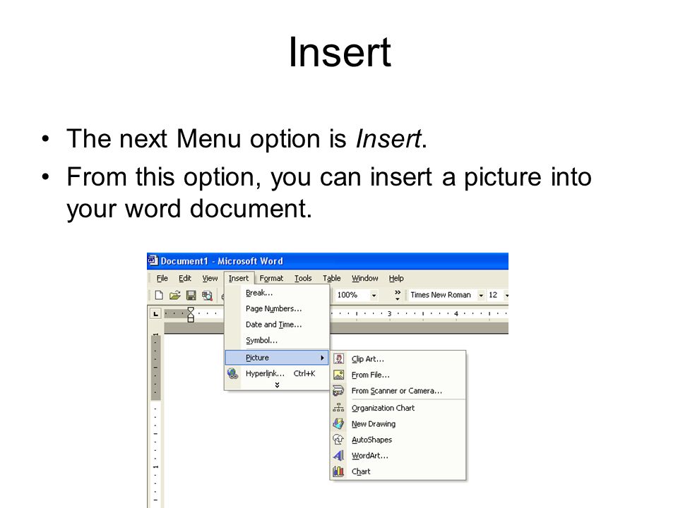 Insert The next Menu option is Insert.