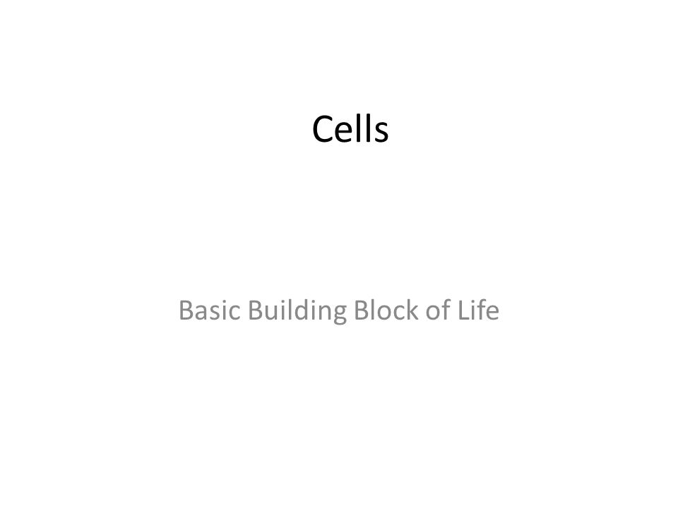 Cells Basic Building Block of Life