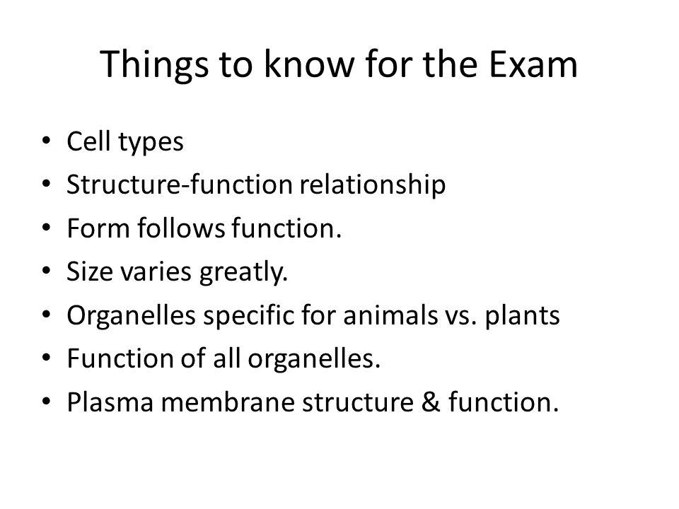 Things to know for the Exam Cell types Structure-function relationship Form follows function.