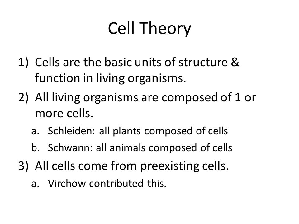Cell Theory 1)Cells are the basic units of structure & function in living organisms.