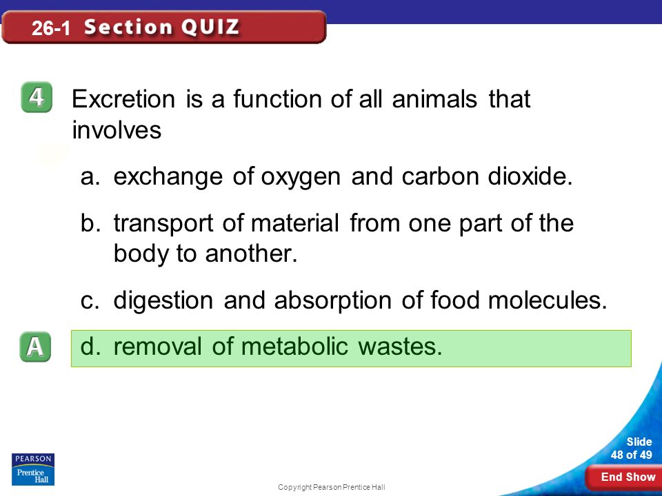 End Show Slide 48 of 49 Copyright Pearson Prentice Hall 26-1 Excretion is a function of all animals that involves a.exchange of oxygen and carbon dioxide.