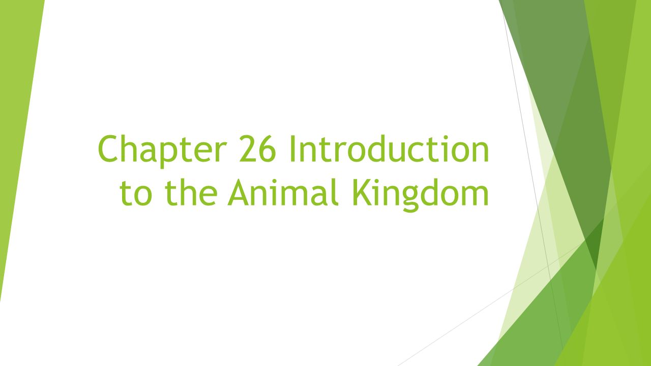 Chapter 26 Introduction to the Animal Kingdom