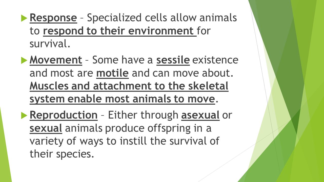  Response – Specialized cells allow animals to respond to their environment for survival.