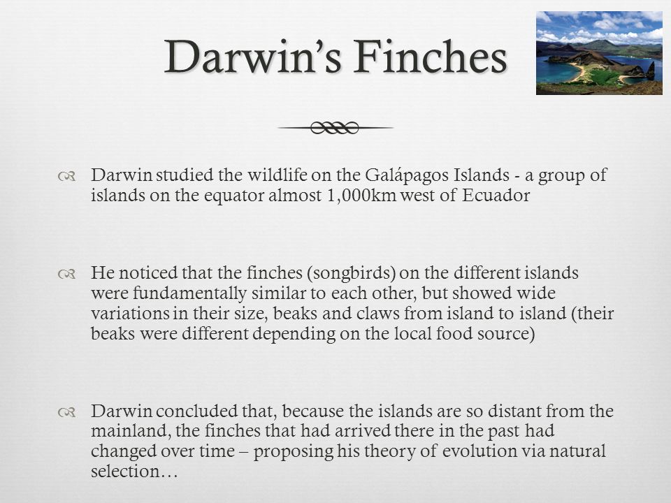an evaluation of the theory of evolution Darwin's theory of evolution is the widely held notion that all life is related and has descended from a common ancestor: the birds and the bananas, the fishes and the. an evaluation of the theory of evolution Darwin's theory of evolution is the widely held notion that all life is related and has descended from a common ancestor: the birds and the bananas, the fishes and the.