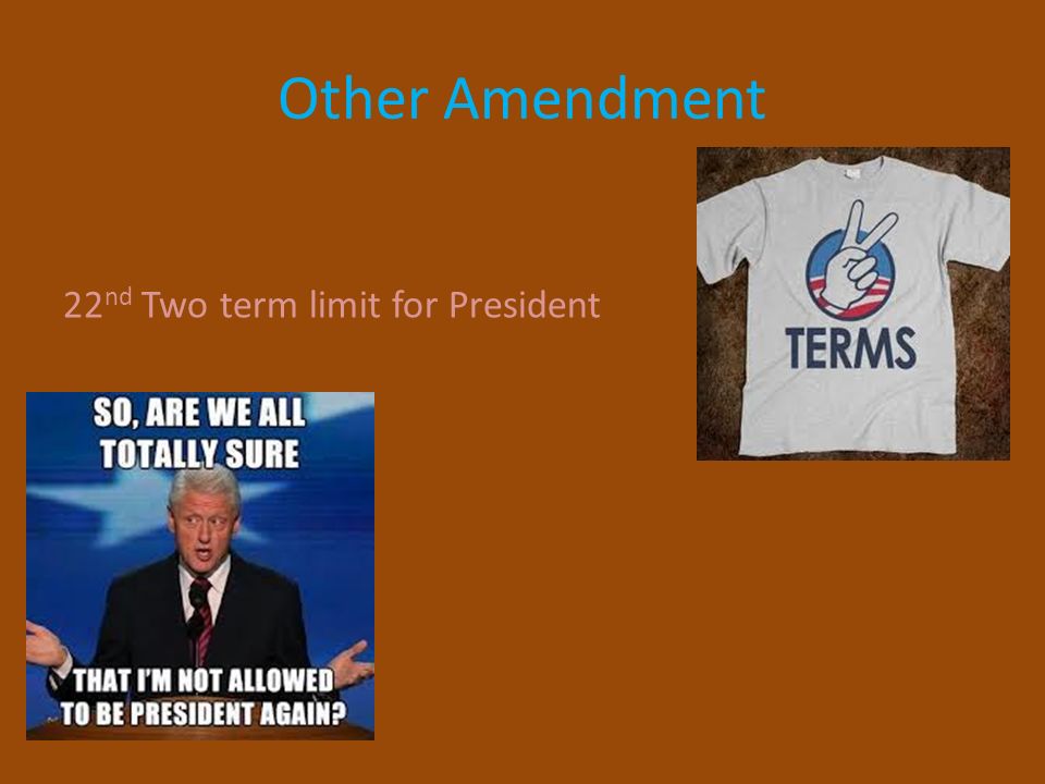 Other Amendment 22 nd Two term limit for President