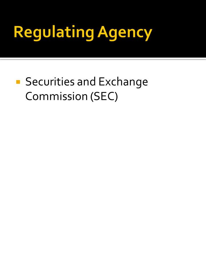  Securities and Exchange Commission (SEC)