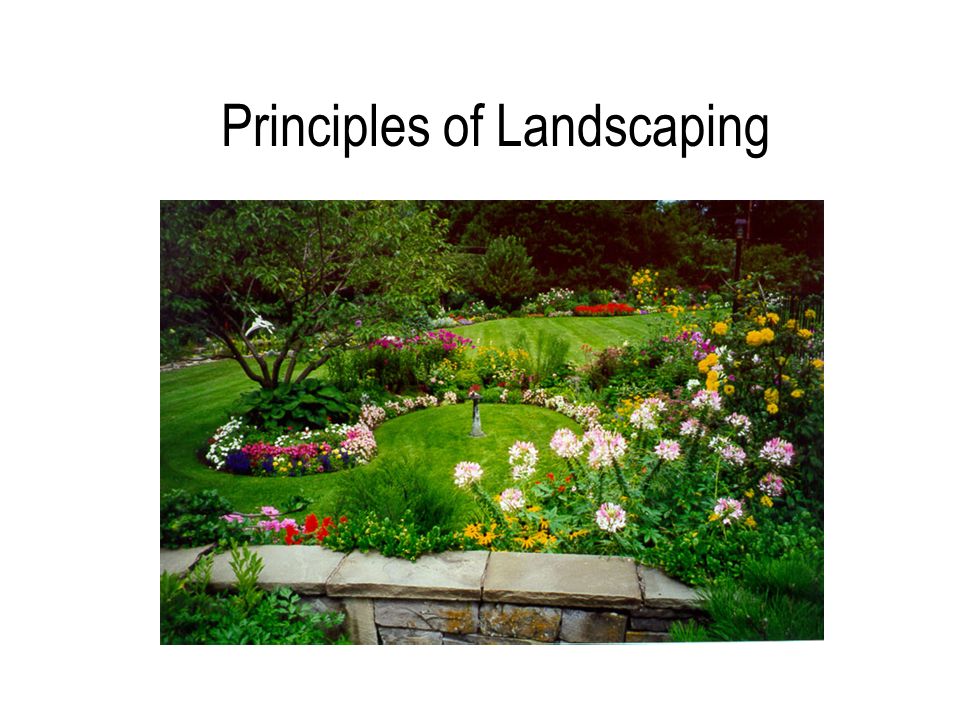 landscaping presentation