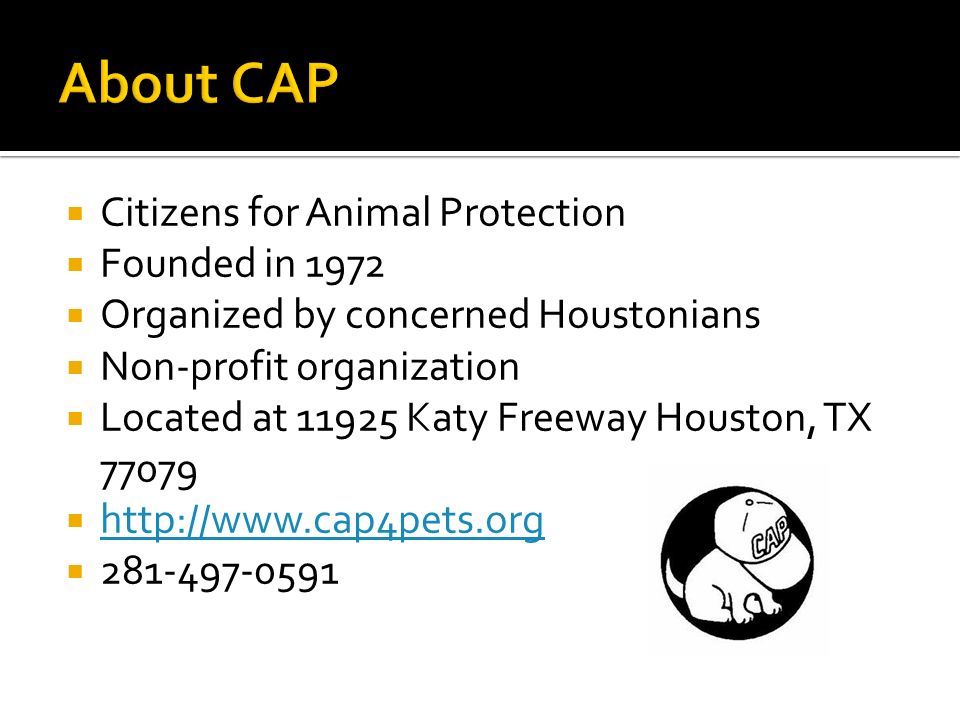  Citizens for Animal Protection  Founded in 1972  Organized by concerned Houstonians  Non-profit organization  Located at Katy Freeway Houston, TX      
