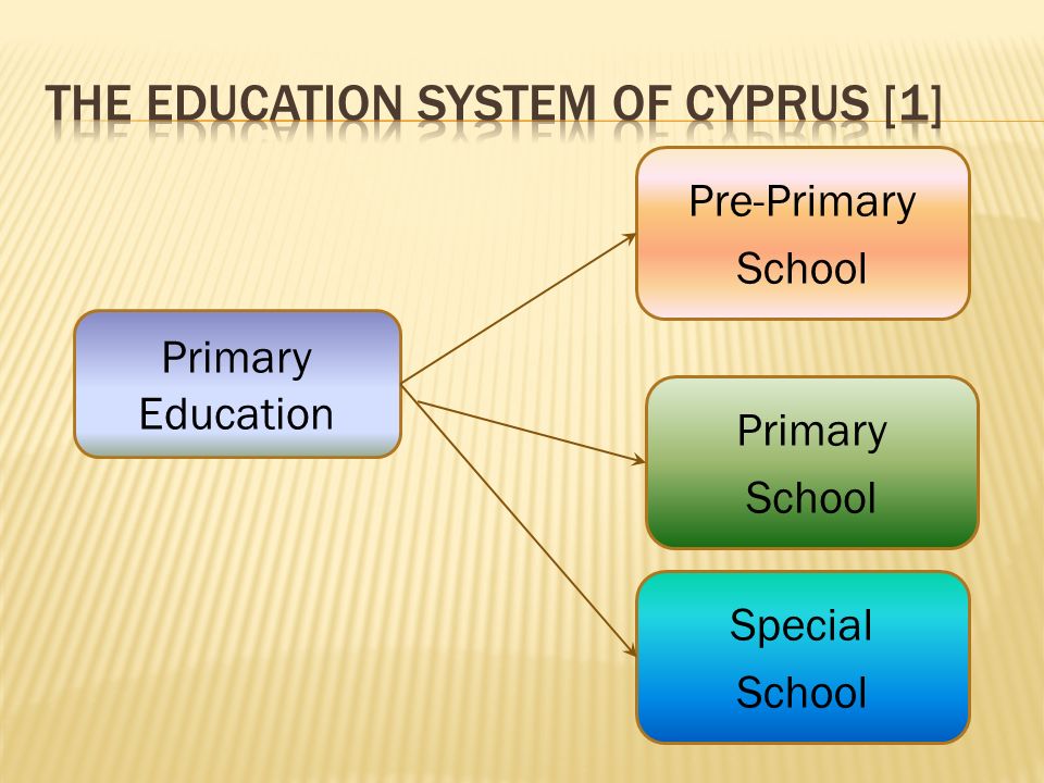 Primary Education Pre-Primary School Special School Primary School