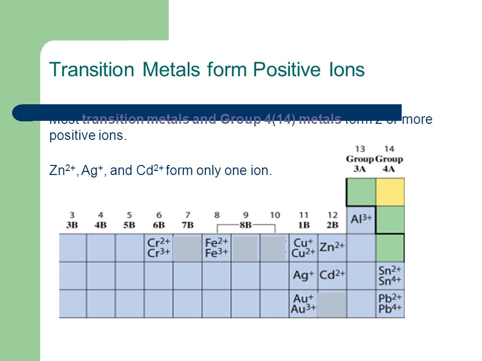 Transition Metals form Positive Ions Most transition metals and Group 4(14) metals form 2 or more positive ions.