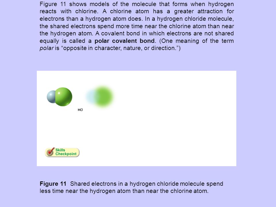 Polar Covalent Bonds Figure 11 shows models of the molecule that forms when hydrogen reacts with chlorine.