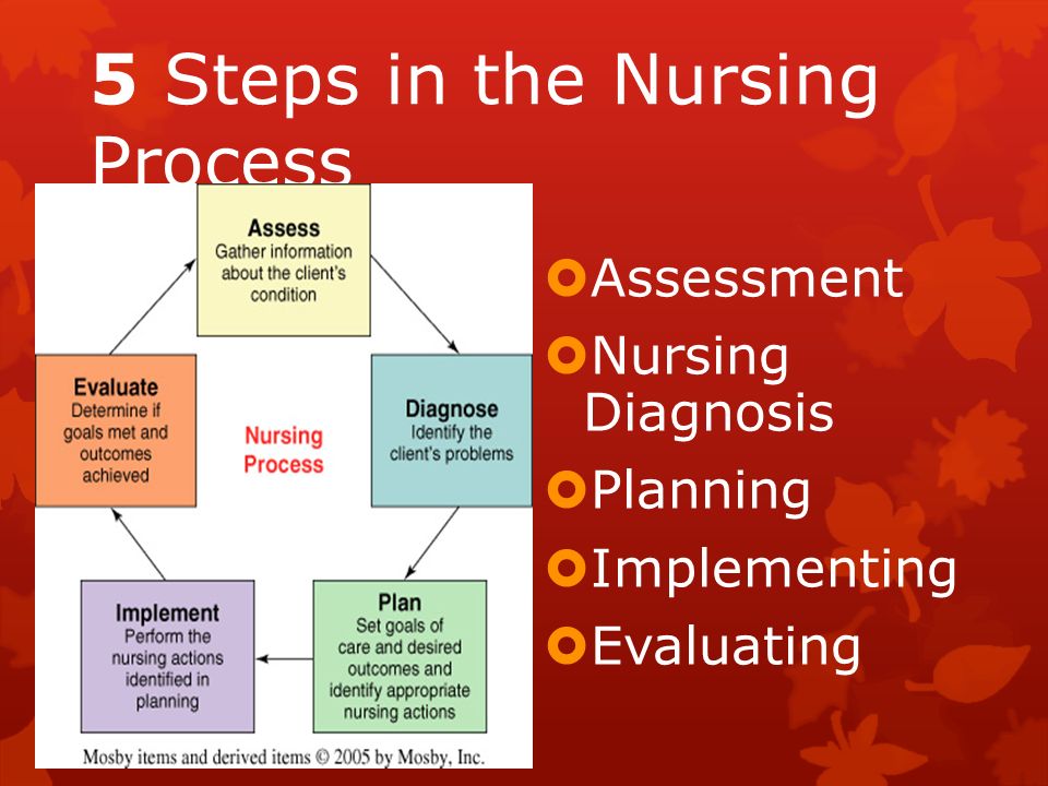what is coursework for audit only research paper template microsoft nursing process essay