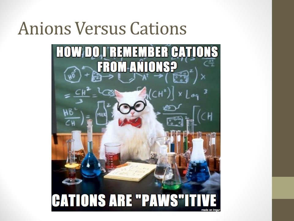 Anions Versus Cations