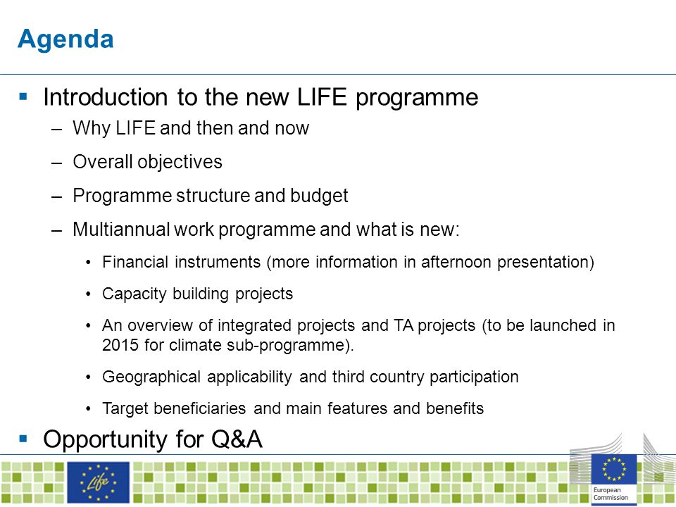 Agenda  Introduction to the new LIFE programme –Why LIFE and then and now –Overall objectives –Programme structure and budget –Multiannual work programme and what is new: Financial instruments (more information in afternoon presentation) Capacity building projects An overview of integrated projects and TA projects (to be launched in 2015 for climate sub-programme).