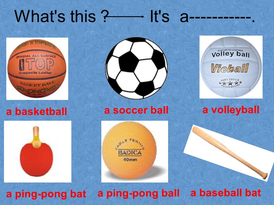 volleyball bat,playvolleyball a soccer ball a volleyball a ping-pong bat a ping-pong ball a