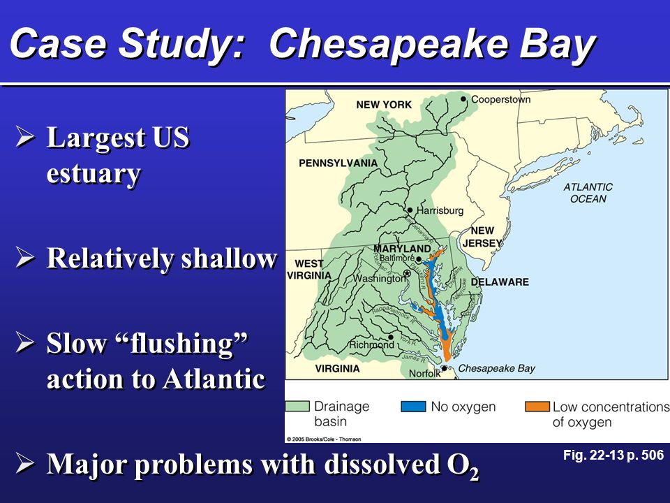 Case Study: Chesapeake Bay  Largest US estuary  Relatively shallow  Slow flushing action to Atlantic  Major problems with dissolved O 2 Fig.