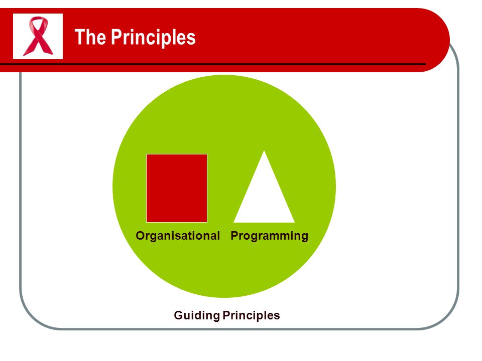 The Principles Guiding Principles OrganisationalProgramming