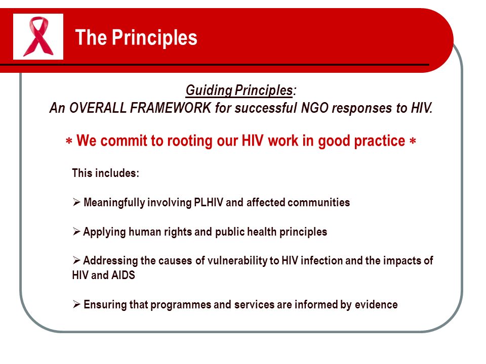 The Principles Guiding Principles: An OVERALL FRAMEWORK for successful NGO responses to HIV.