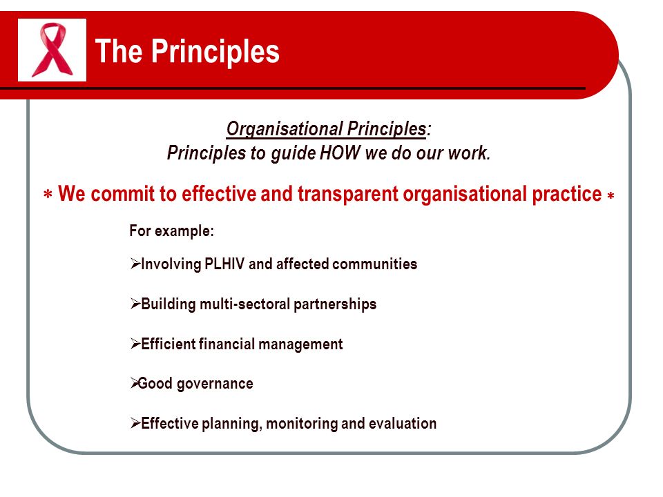 The Principles Organisational Principles: Principles to guide HOW we do our work.