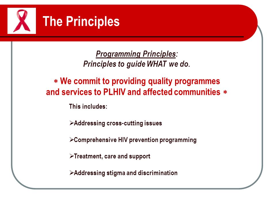 The Principles Programming Principles: Principles to guide WHAT we do.