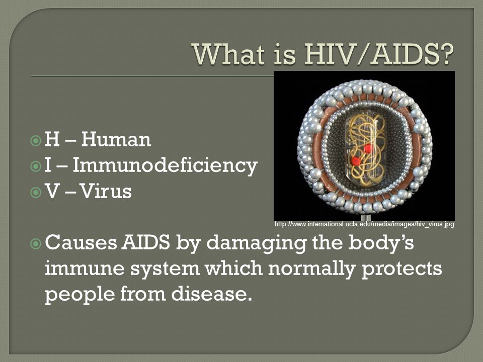  H – Human  I – Immunodeficiency  V – Virus  Causes AIDS by damaging the body’s immune system which normally protects people from disease.