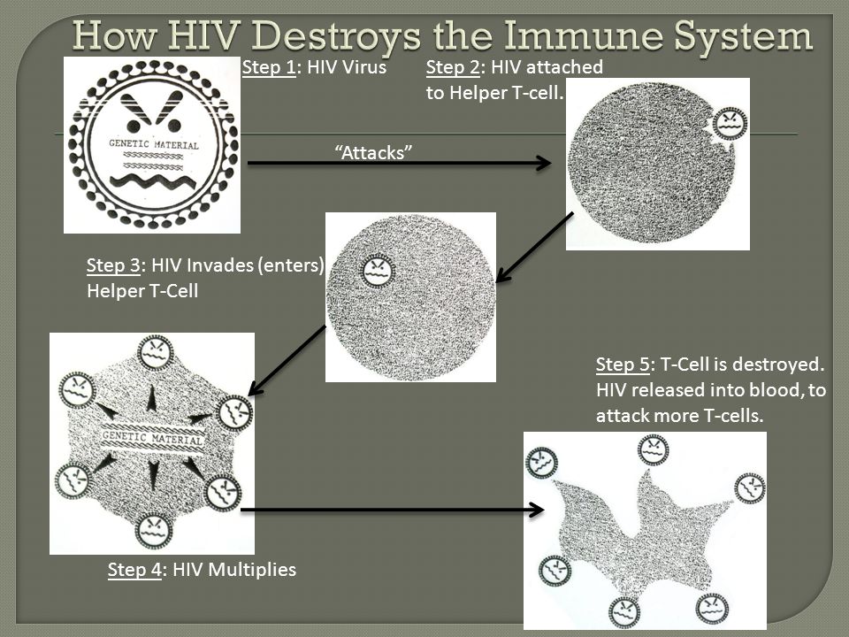 Attacks Step 1: HIV Virus Step 5: T-Cell is destroyed.