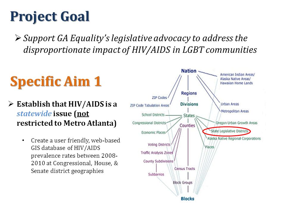 Project Goal  Support GA Equality’s legislative advocacy to address the disproportionate impact of HIV/AIDS in LGBT communities Specific Aim 1  Establish that HIV/AIDS is a statewide issue (not restricted to Metro Atlanta) Create a user friendly, web-based GIS database of HIV/AIDS prevalence rates between at Congressional, House, & Senate district geographies