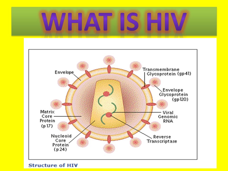 Human Immunodeficiency Virus (HIV) is the cause of ACQUIRED IMMUNODEFICIENCY SYNDROME (AIDS)
