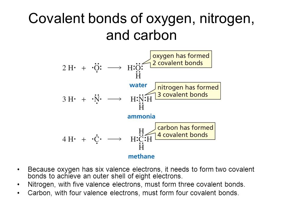 lecture 3 polar and non polar covalent bonds dr a k m shafiqul how many covalent bonds can oxygen form