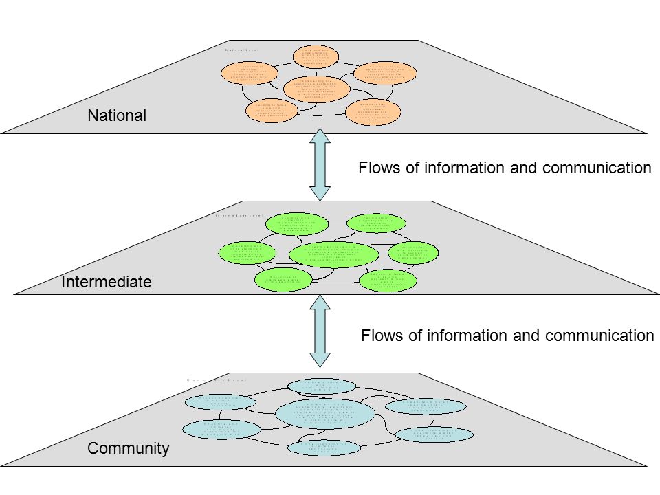 Community National Intermediate Flows of information and communication