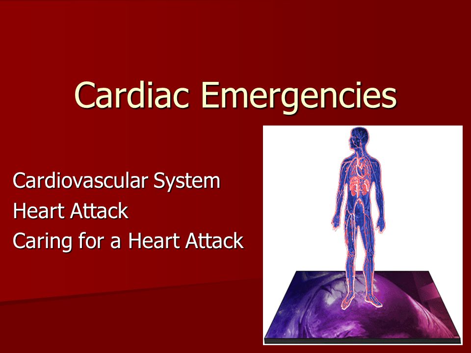 Cardiac Emergencies Cardiovascular System Heart Attack Caring for a Heart Attack