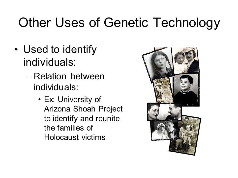 Other Uses of Genetic Technology Used to identify individuals: –Relation between individuals: Ex: University of Arizona Shoah Project to identify and reunite the families of Holocaust victims