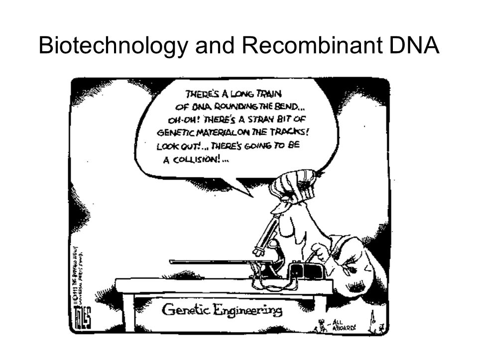 Biotechnology and Recombinant DNA