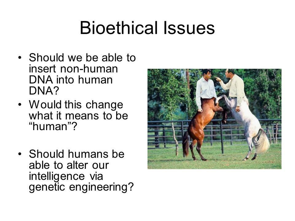 Bioethical Issues Should we be able to insert non-human DNA into human DNA.