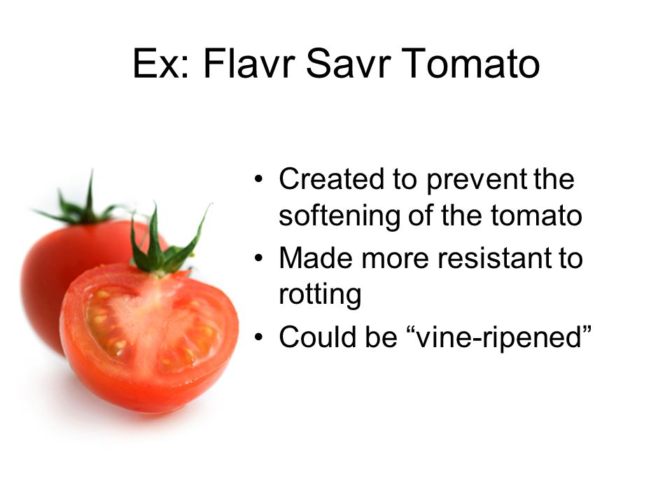 Ex: Flavr Savr Tomato Created to prevent the softening of the tomato Made more resistant to rotting Could be vine-ripened