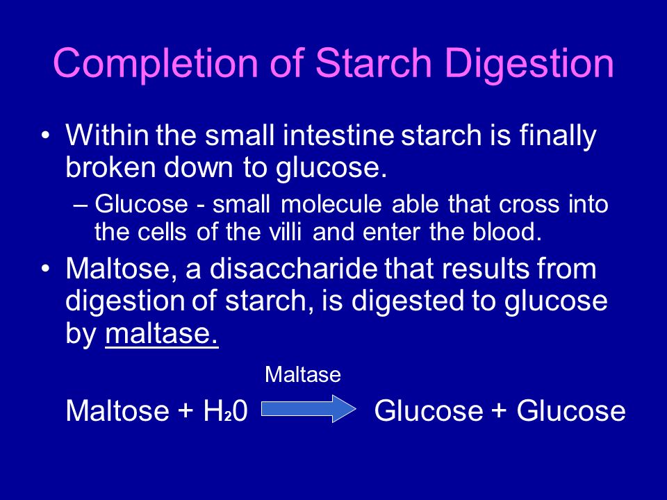 Glucose and digestive enzymes
