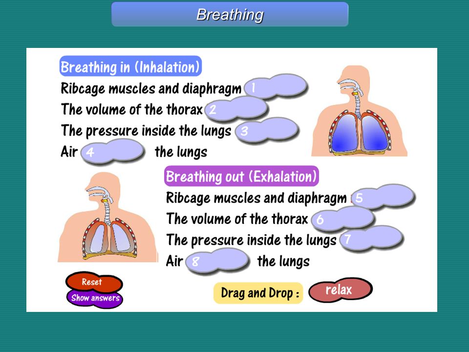Breathing Breathing – Drag & Drop